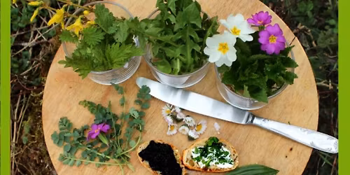 Ap\u00e9ritif de plantes sauvages