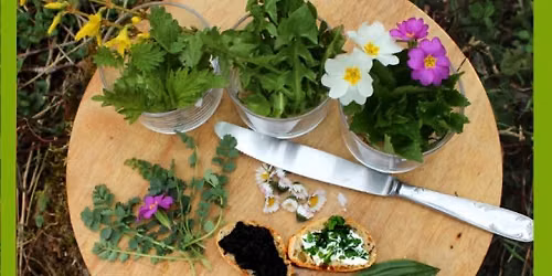 Ap\u00e9ritif de plantes sauvages