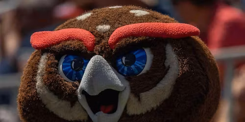 Louisiana-Monroe Warhawks vs. Florida Atlantic Owls