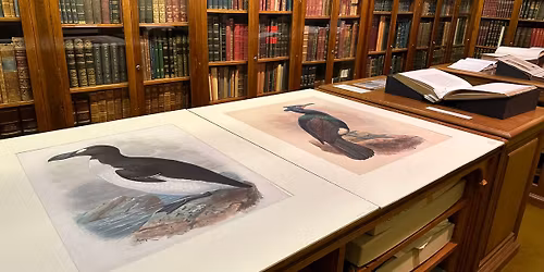 Treasures of the Rothschild Library Tour