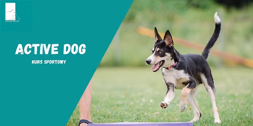 Active Dog - kurs sportowy, wrzesie\u0144