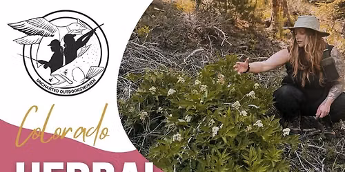 First Aid - Herbal Workshop