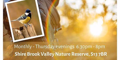 Wellbeing Walk - Evening