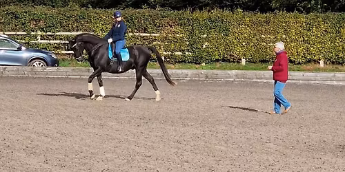 Helen Griffiths Dressage HG1810