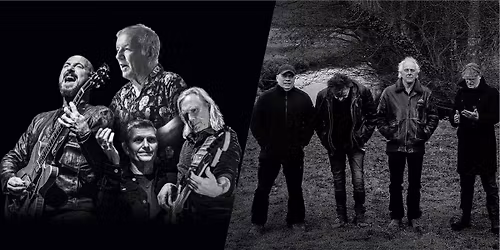 The Animals & Friends + Bintangs | Nobel