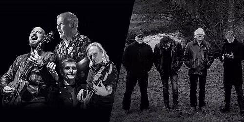 The Animals & Friends + Bintangs | Nobel