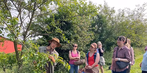 Teas & Trees - Early Fall Foraging Walk