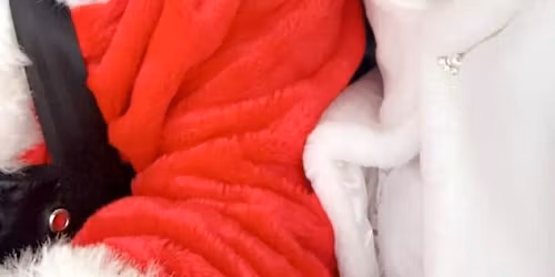 Visit Santa and Mrs. Claus