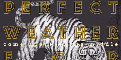 Perfect Weather for Humans - Album Release Show - The Duck Room at Blueberry Hill - Saint Louis, MO