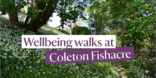 Wellbeing walks at Coleton Fishacre