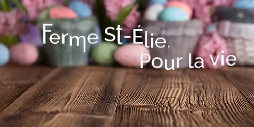 Chasses aux \u0153ufs!