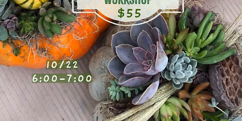 10.22: Pumpkin Succulent Workshop