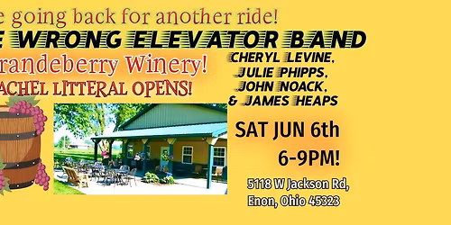 The Wrong Elevator Band at Brandeberry Winery!
