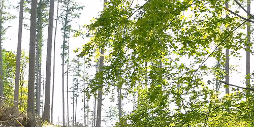 5. Schlangen Trail Run 23.05.2026