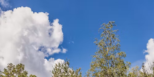 200 Hour Yoga Teacher Training at Lotus Pond