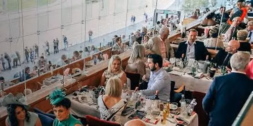 Nottingham Greyhound Stadium Festive Showcase
