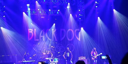 BLACK DOG at The Golden Nugget