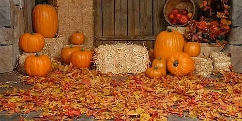 Free Fall Family Festival