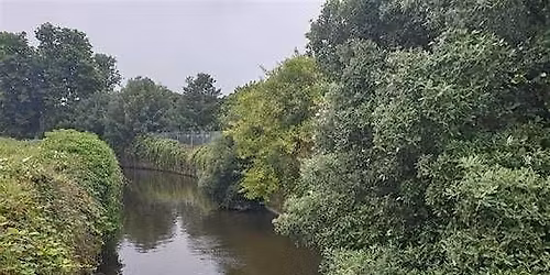Nature Walk along the River Crane from the Tower through Pevensey