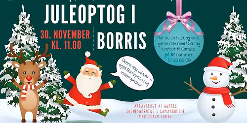 Juleoptog i Borris