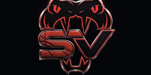 Stars Viper Cheer