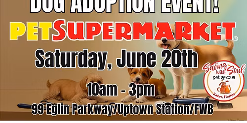 Dog Adoption Event at Pet Supermarket in Uptown Station!