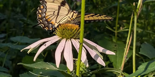 2026 Spring Plant Sale