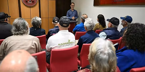 Natural Solutions to Mental Health