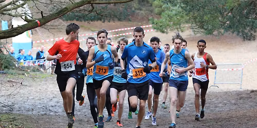 Atledo Intersport Cross