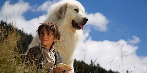 Baltic Cinema: Belle and Sebastian