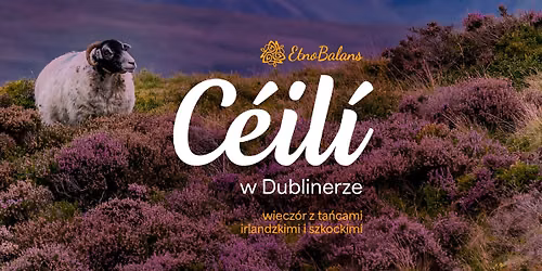 C\u00e9il\u00ed w Dublinerze