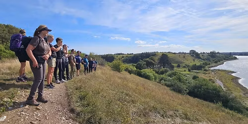 Munkholmskoven, Ejby \u00c5dal og Ryegaard Dyrehave