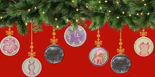 Make Holiday Ornaments: Agar & Micropipetting Art