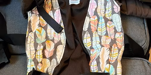 Babywearing meetup - North Seattle