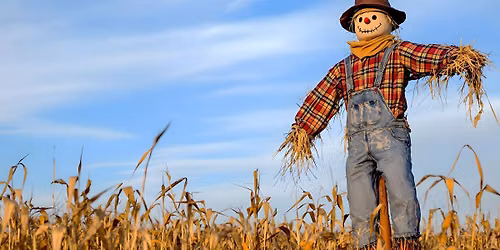 Village produce show and scarecrow competition