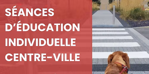 S\u00e9ances d\u2019\u00e9ducation individuelle - Centre-ville
