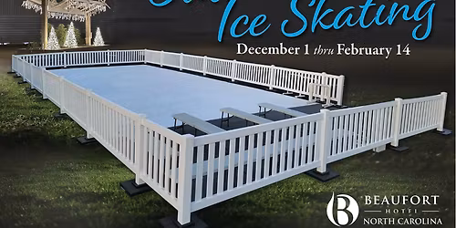 Public Ice Skating - Macon