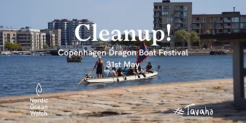 Cleanup at Copenhagen Dragon Boat Festival