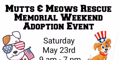 Woodinville Wa Adoptions Event Day 2!