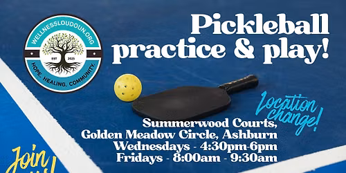 Pickleball Fridays - Practice & play!
