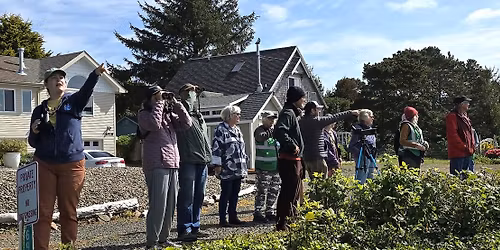 Lincoln City Bird Walk - Cutler City Open Space and Siletz Bay