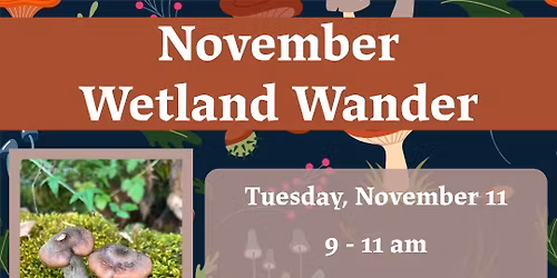 November Wetland Wander at Mount Pisgah Arboretum