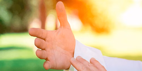 QiGong in the park