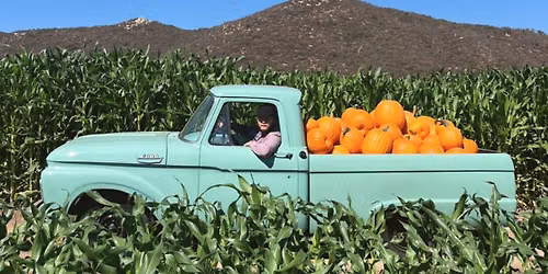 VINO & ALMAS: D\u00cdA DE MUERTOS EN BAJA, ENSENADA Y RUTA DEL MA\u00cdZ