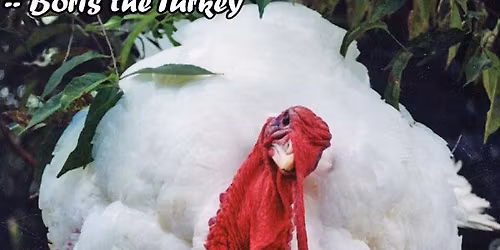 Peaceful Demo for Turkeys in Amherst, MA