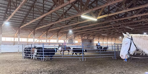 *****INDOOR CATTLE SORT**** 4\/11th or 4\/12th