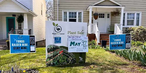 Plant For Cancer 2026