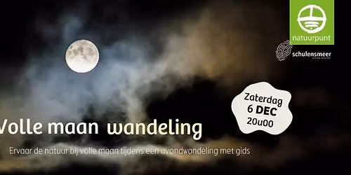 Volle maan wandeling | ervaar de natuur tijdens een avondwandeling met gids [HELAAS VOLZET]