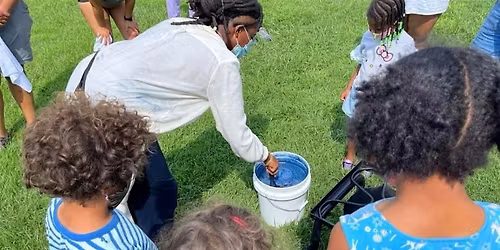 Native Fiber and Dye Plants - Hattie Meadows Gardening School