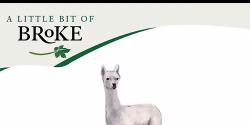 A Little Bit of Broke